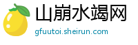 山崩水竭网